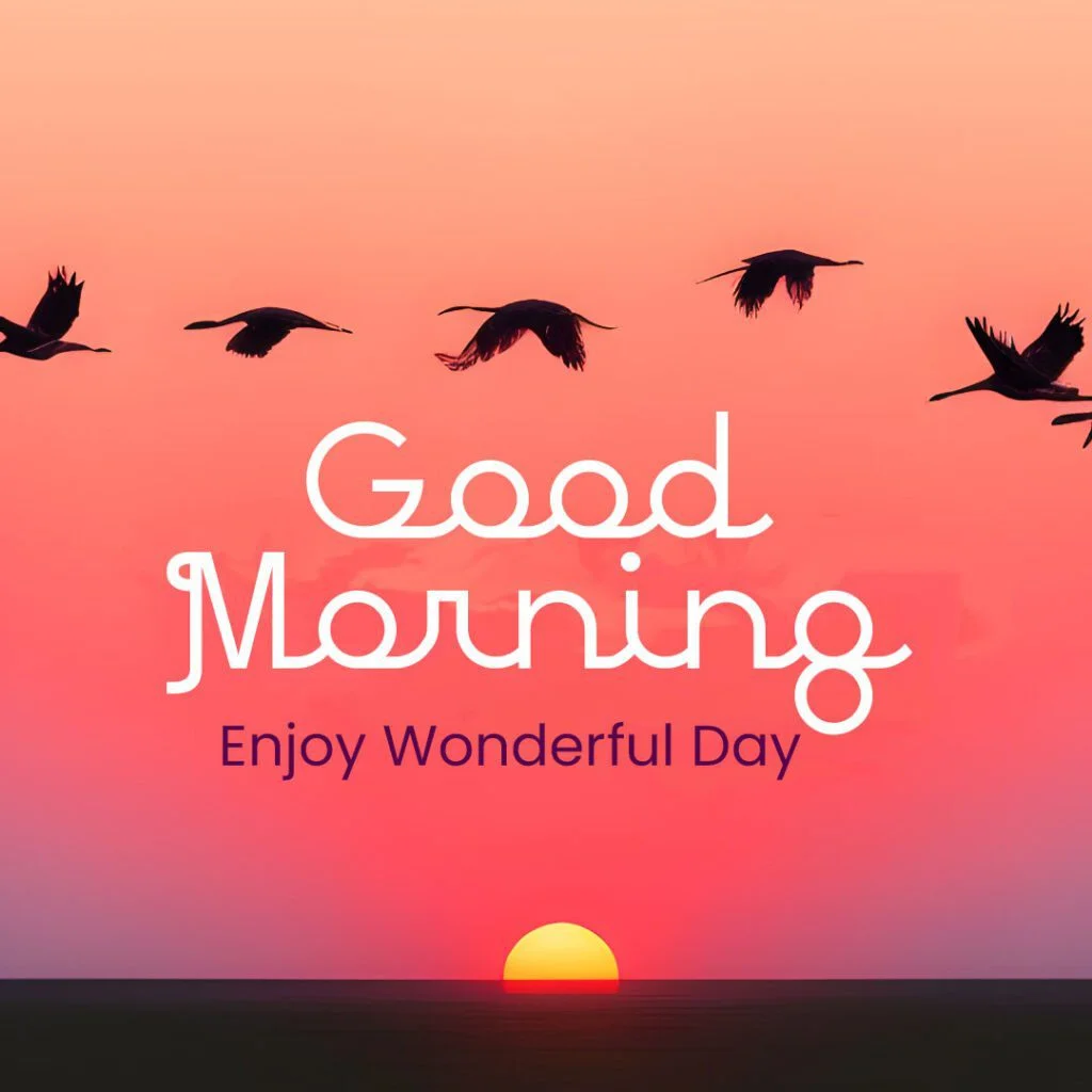 ЁЯМ╕тЭгя╕П21 Good Morning Flower Images Can Improve Your Well-being 7 flower good morning images HD photo download Good Morning Flower Images