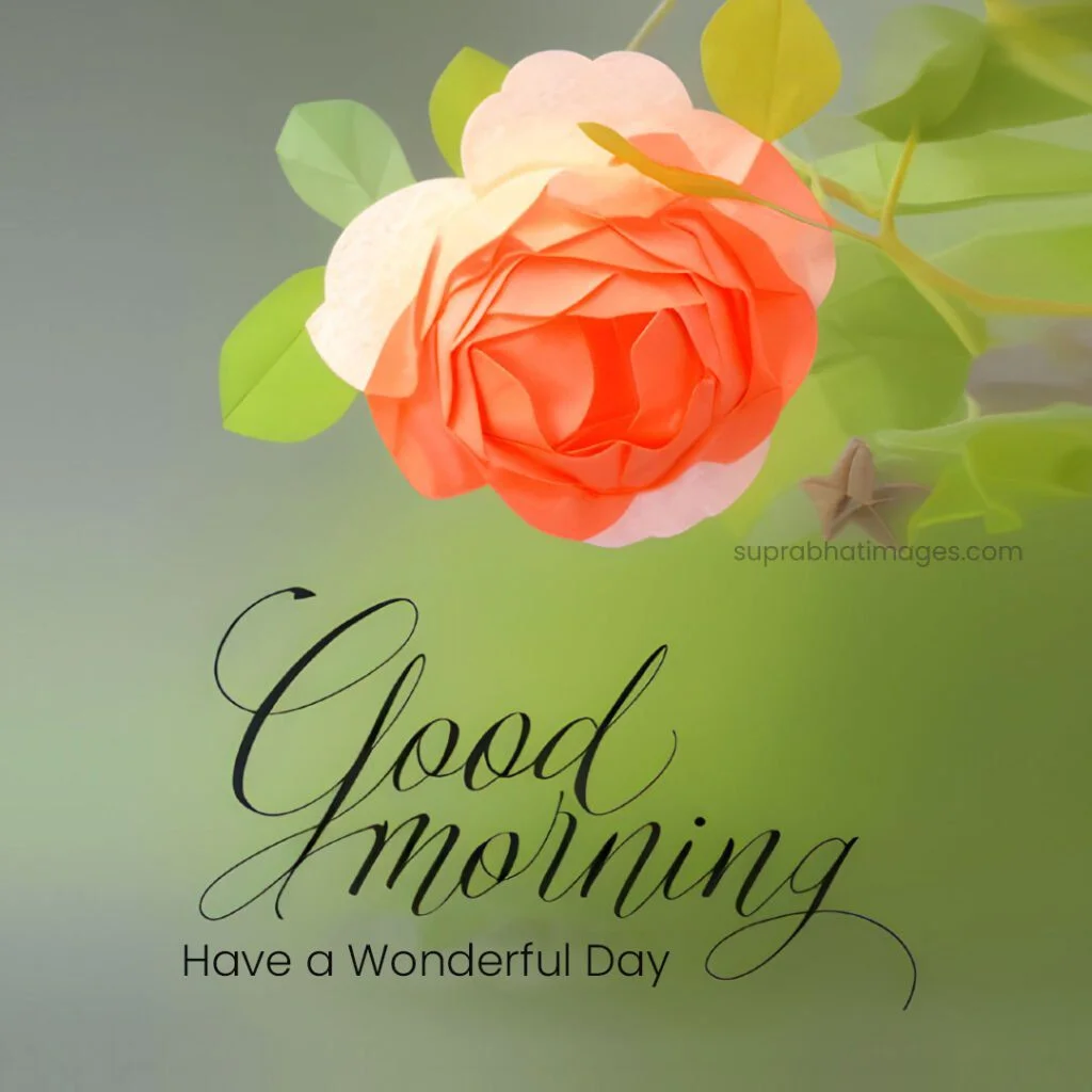 ЁЯМ╕тЭгя╕П21 Good Morning Flower Images Can Improve Your Well-being 16 good morning flower images free download Good Morning Flower Images