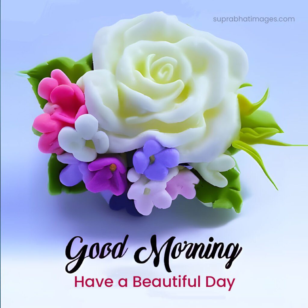 good morning rose flower image Good Morning Flower Images