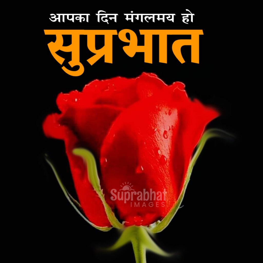 suprabhat good morning quotes in hindi Good Morning Quotes in Hindi