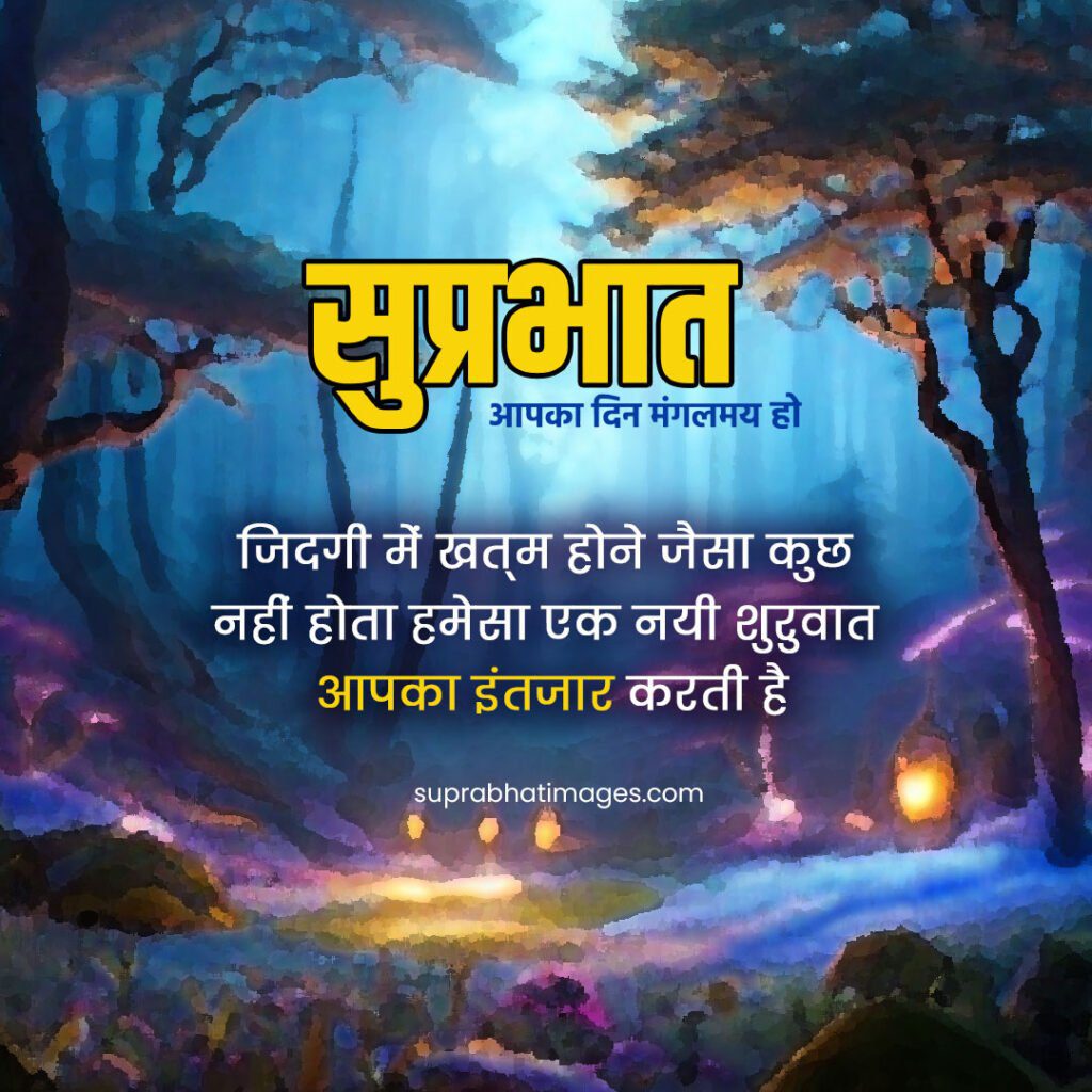 Whatsapp DP status Suprabhat images, forest with flowers and light