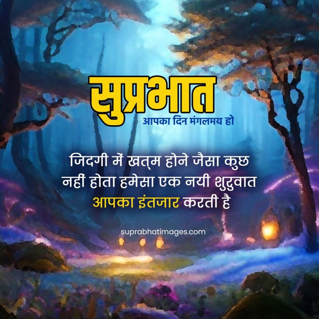 99 {सुप्रभात} 🌸Inspiring Suprabhat Images to Start Your Day❣️ 15 Whatsapp DP status Suprabhat images, forest with flowers and light