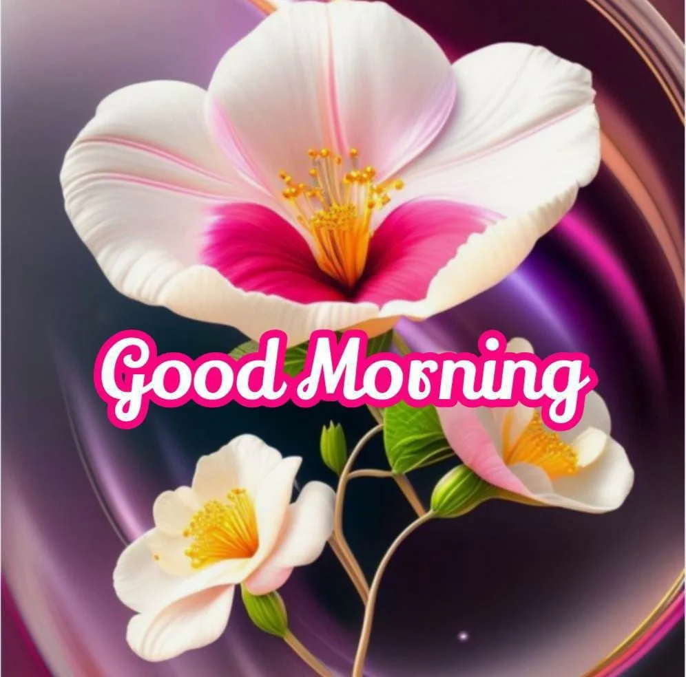ЁЯМ╕тЭгя╕П21 Good Morning Flower Images Can Improve Your Well-being 6 Beautiful Colorful Flower, Lilly with good morning message