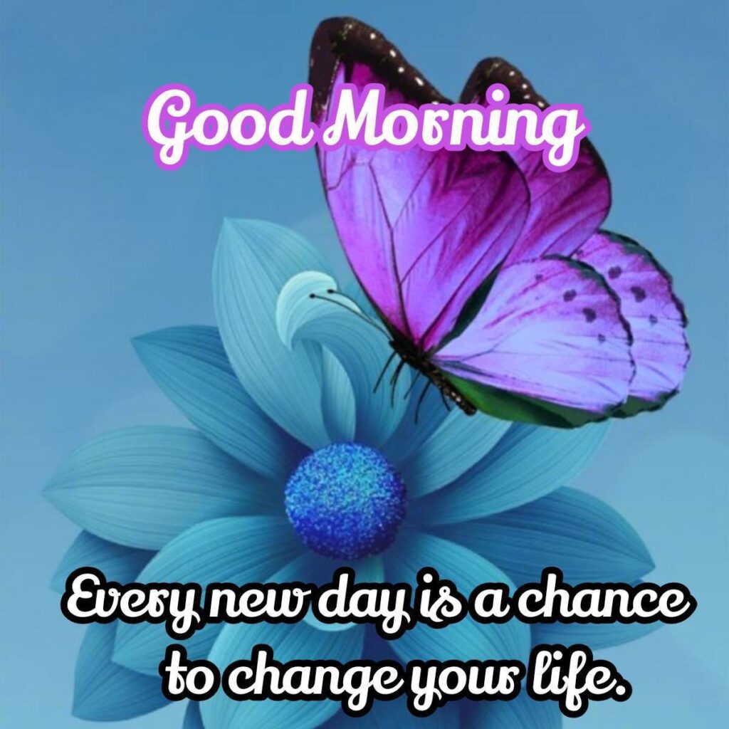 Butterfly, flower with good morning message and quoes