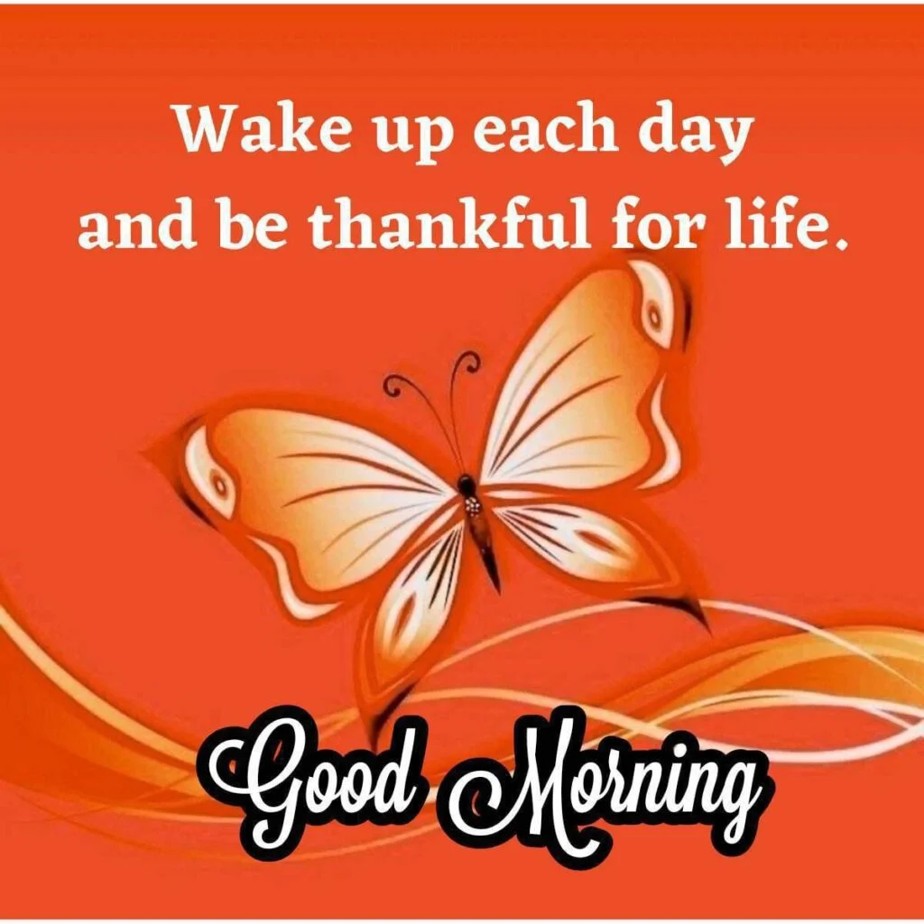 ЁЯМ╕тЭгя╕П21 Good Morning Flower Images Can Improve Your Well-being 4 Butterfly art with good morning message