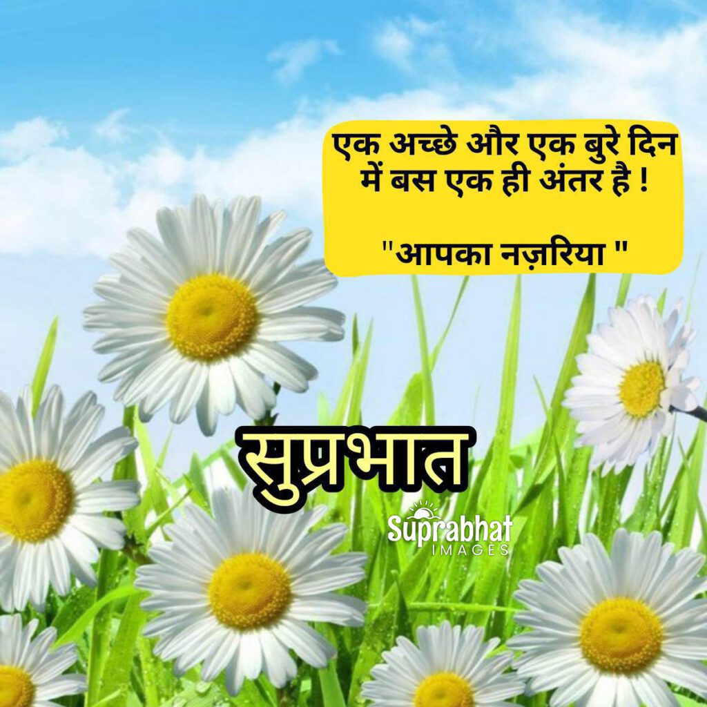 Good Morning Quotes in Hindi with sun flower