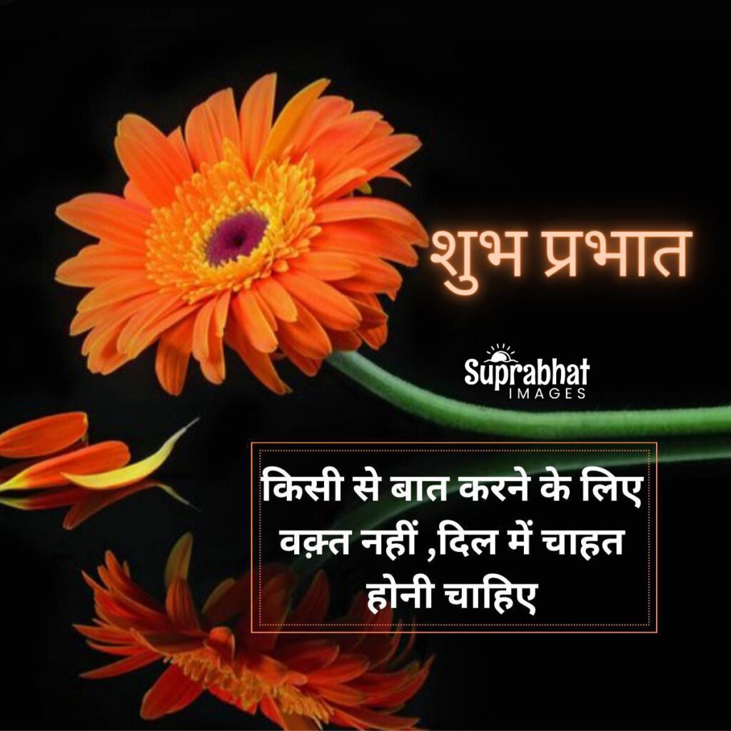 Good Morning Quotes in Hindi with red flower