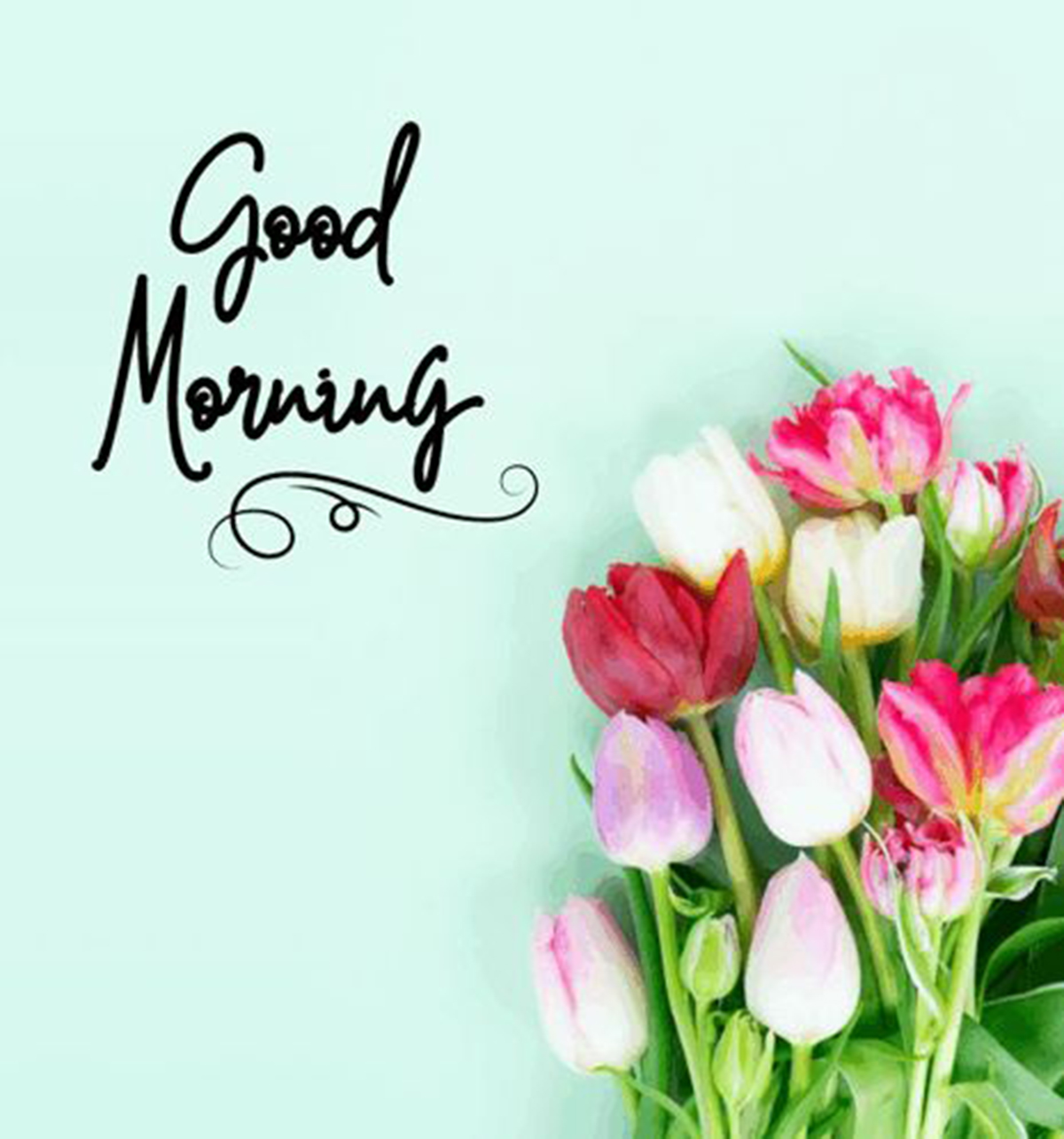Flower Picture with Good Morning Message