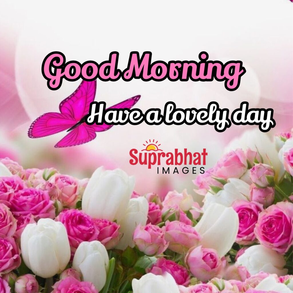 Latest Good Morning Images with Good Morning Message