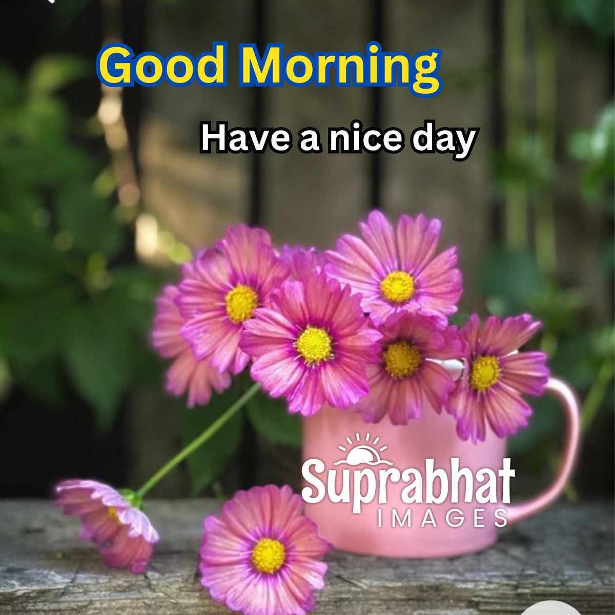 Good Morning Image with Flower and Decorative Pot