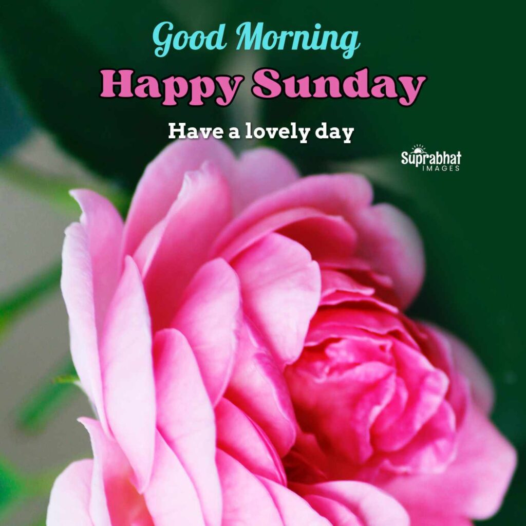 Happy Sunday Quotes and Images with Nature Flower
