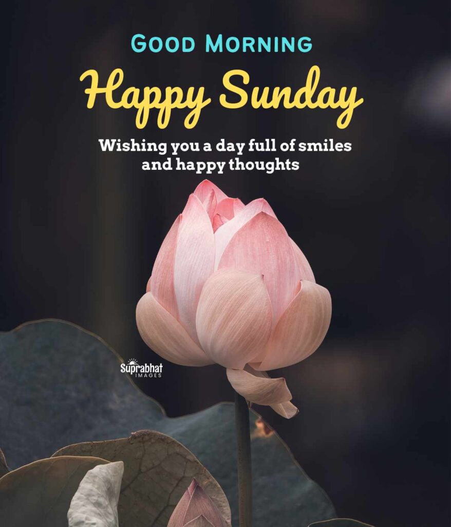 Happy Sunday Quotes and Images with Nature Flower