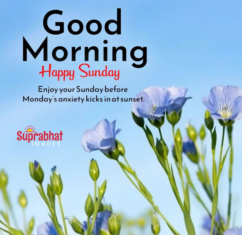 Happy Sunday Images Good Morning happy sunday